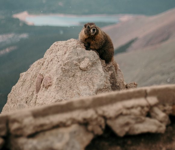 Pikes Peak: A Photographer's Paradise